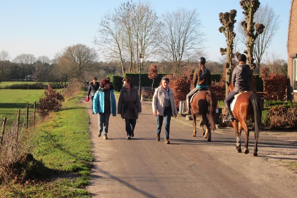 Loonse en Drunense Duinen